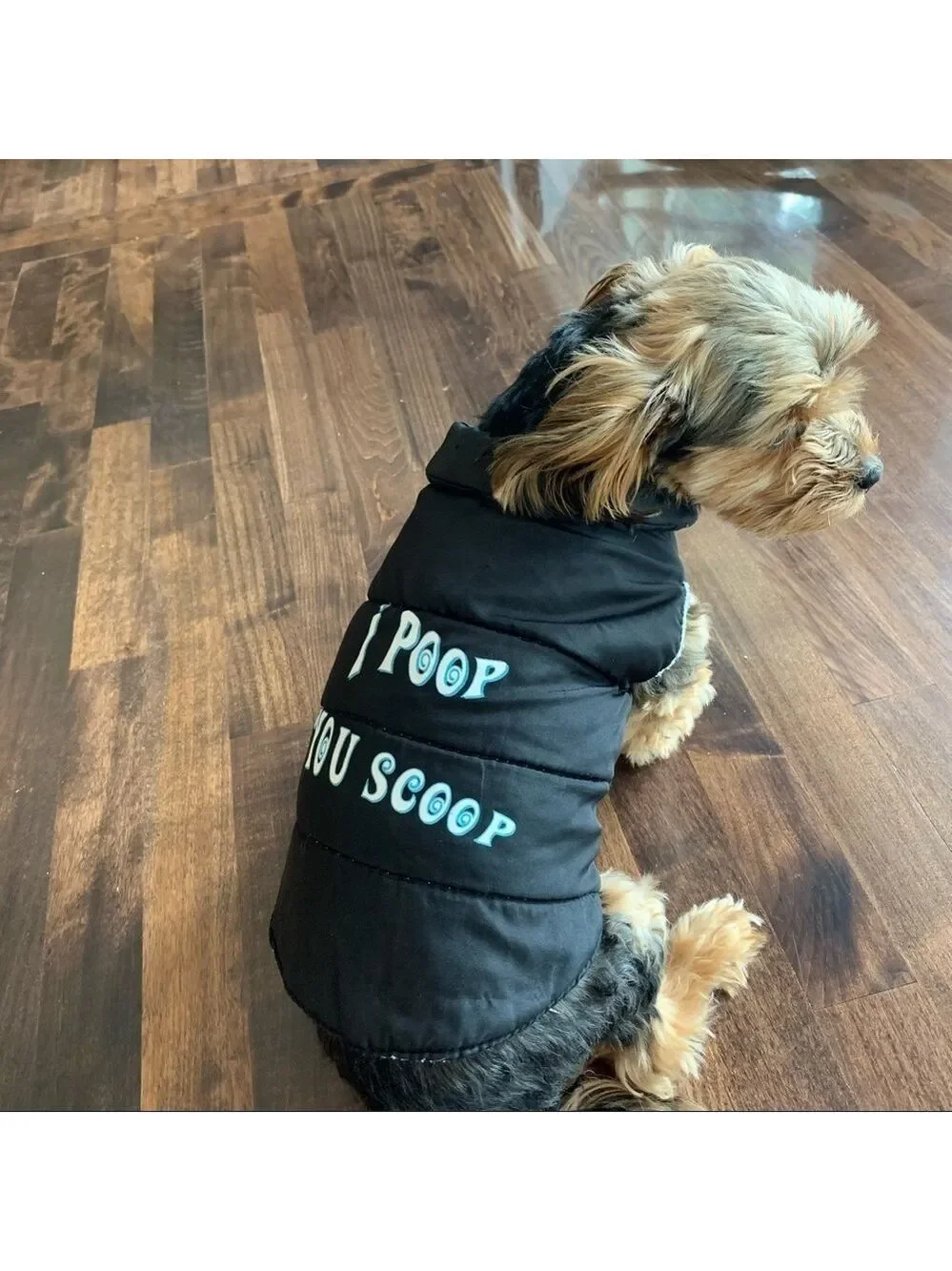 DOG “I Poop You Scoop” Black Coat Sz S